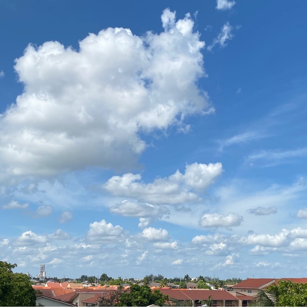 Meet your Posher, Neling